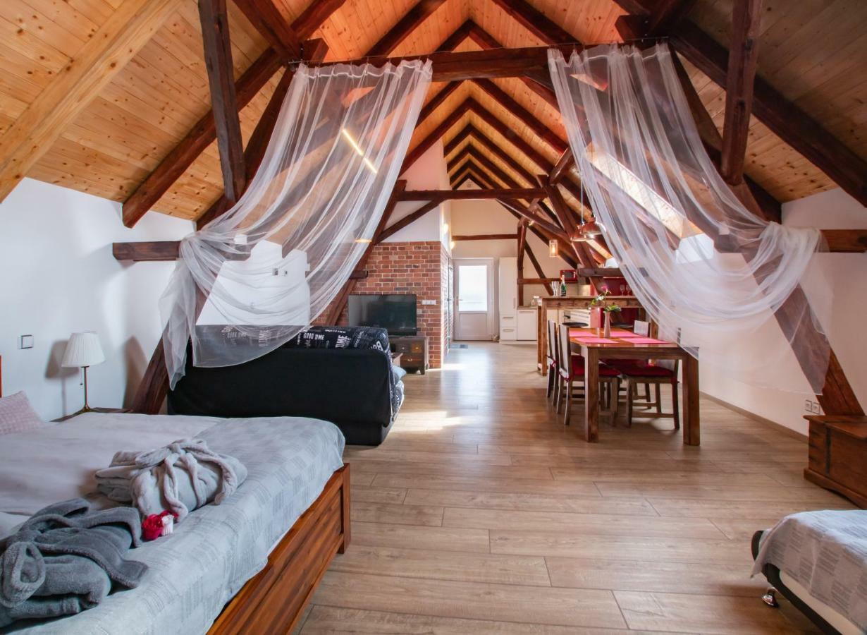 Penzion Na barokní cestě Wellness&Spa Plasy Exterior foto
